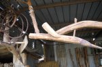aratro in legno